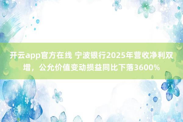 开云app官方在线 宁波银行2025年营收净利双增，公允价值变动损益同比下落3600%