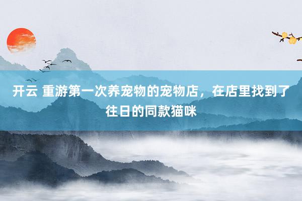 开云 重游第一次养宠物的宠物店，在店里找到了往日的同款猫咪