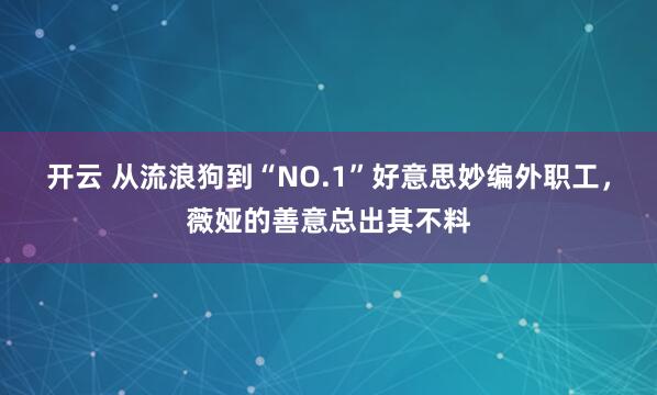 开云 从流浪狗到“NO.1”好意思妙编外职工，薇娅的善意总出其不料