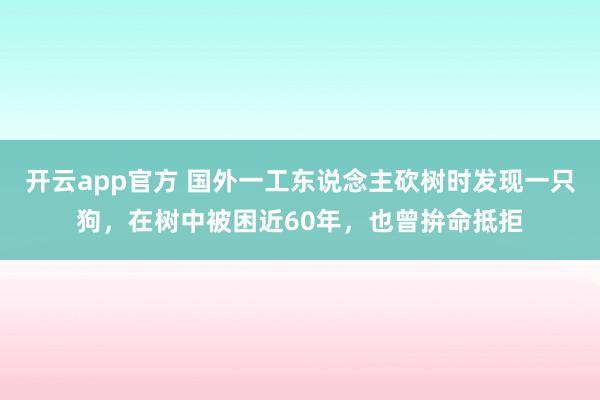 开云app官方 国外一工东说念主砍树时发现一只狗，在树中被困近60年，也曾拚命抵拒