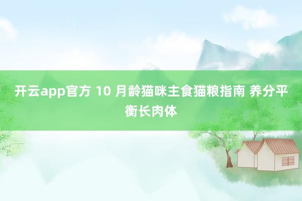 开云app官方 10 月龄猫咪主食猫粮指南 养分平衡长肉体