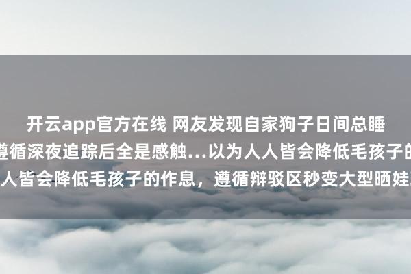 开云app官方在线 网友发现自家狗子日间总睡不醒，本以为是生病，遵循深夜追踪后全是感触…以为人人皆会降低毛孩子的作息，遵循辩驳区秒变大型晒娃现场…