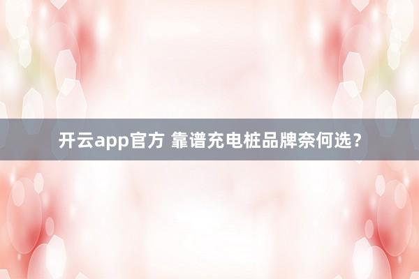 开云app官方 靠谱充电桩品牌奈何选？