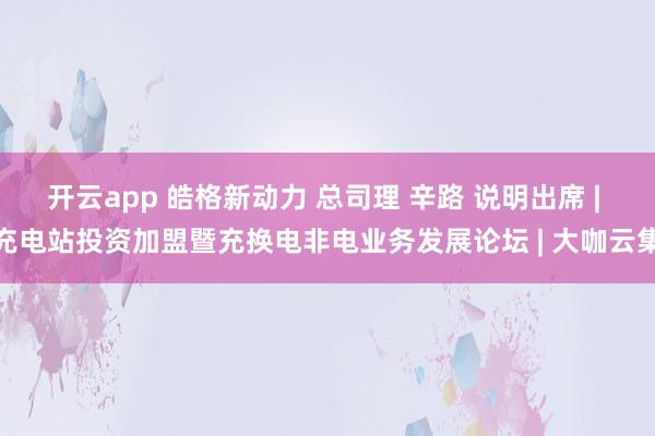 开云app 皓格新动力 总司理 辛路 说明出席 | 充电站投资加盟暨充换电非电业务发展论坛 | 大咖云集