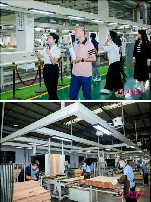 普及 0胶0醛纯实木 ,久盛地板 工厂鉴证之旅 圆满收官